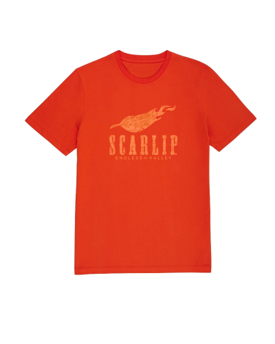 Essentials - Camiseta manga corta para hombre